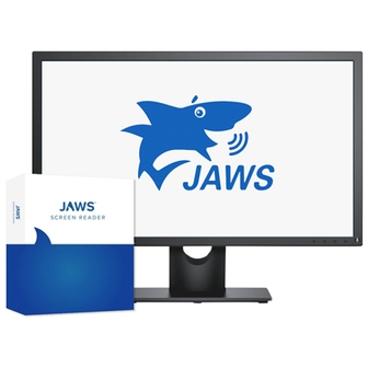 Odečítací program JAWS – ilustrační obrázek.